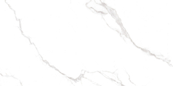 Statuario White PRO Керамогранит белый 60х120 матовый R10GR CB