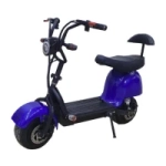 Электроскутер Citycoco Trike GT Mini X3