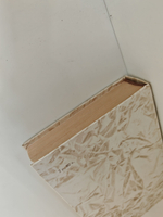 Учитель фехтования. Черный тюльпан