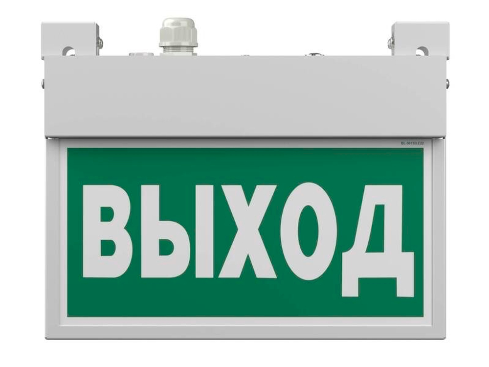 Светильник аварийный светодиодный BS-FLAG-71-S1-INEXI2 1ч IP65 постоянный Белый свет a15610