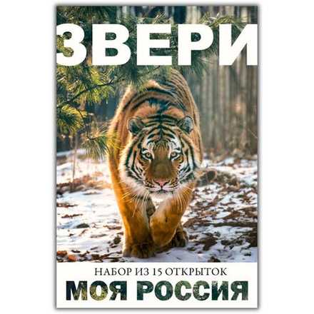 Моя Россия. Звери