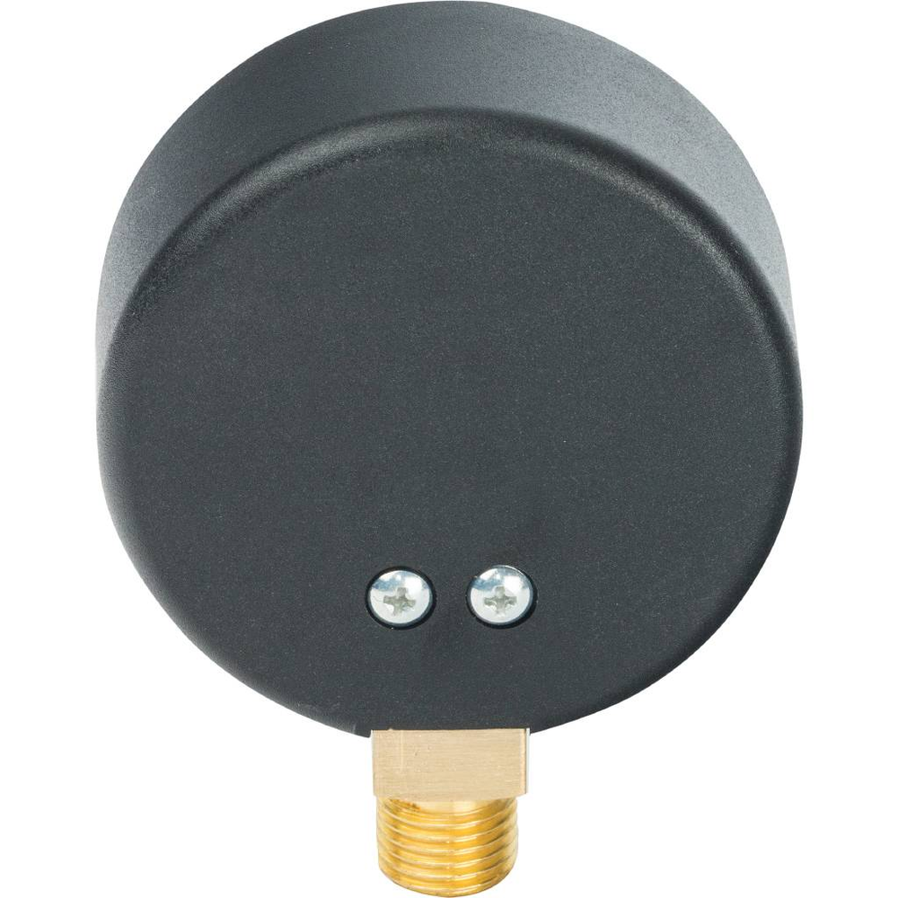 Манометр радиальный WATTS 10 бар 1/4" D63 (F+R200)