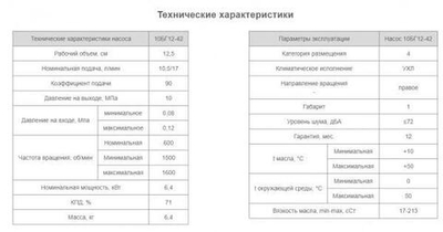 Насос 10БГ12-42