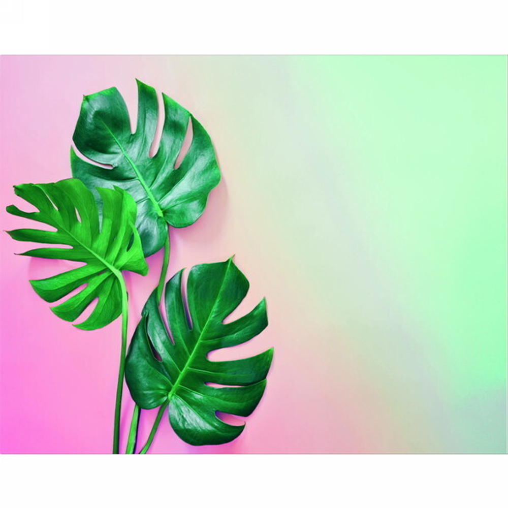 Картина 30*40 см «Три листка монстеры» DS207