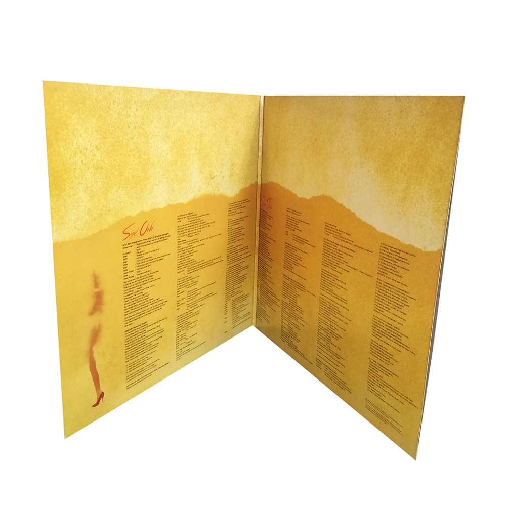 Roger Waters / The Pros And Cons Of Hitch Hiking (LP)