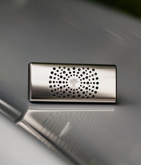 Platinum, диффузор для авто металлический, Baobab Collection