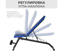 Скамья силовая универсальная DFC Pro Fitness D848