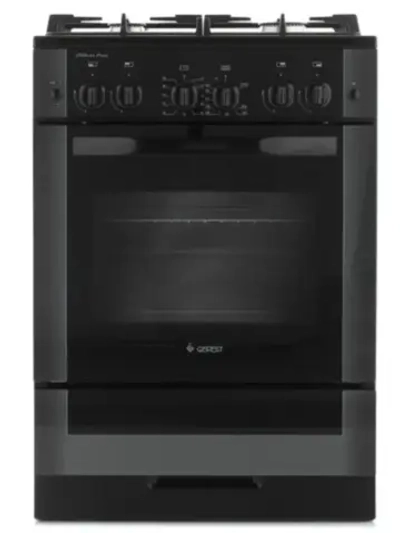 Плита газовая 6500-02 0115