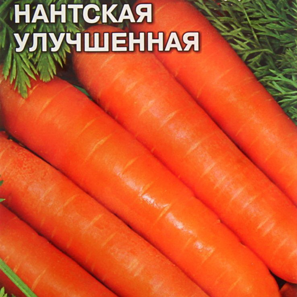 Морковь Нантская улучш. сахарная(лента) 8м Ц Аэлита