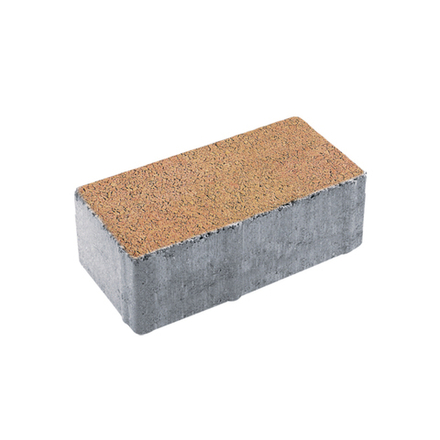 Тротуарная плитка ПРЯМОУГОЛЬНИК 200x100 мм - Листопад гранит Сахара