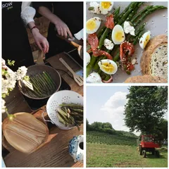 Спаржа свежая / 1 кг Спаржа свежая / 1 кг