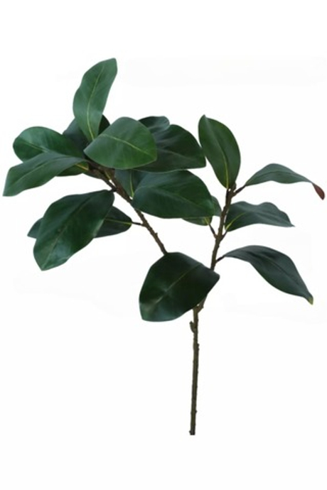 Ветка с листьями магнолии (2 ответвления)