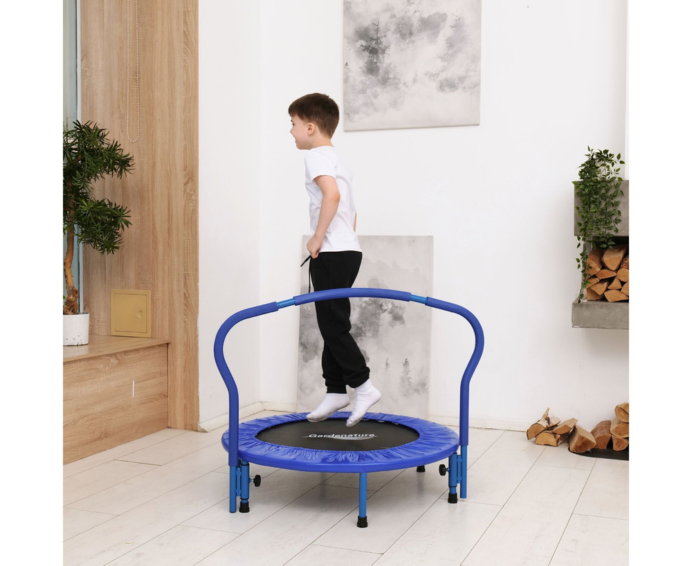 Батут с поручнем DFC Gardenature 36'' синий