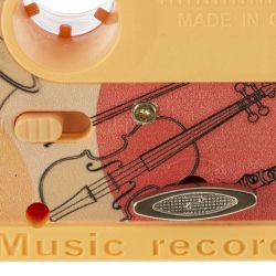 GAEM Шкатулка (музык.), L17,5 W5 H11 см