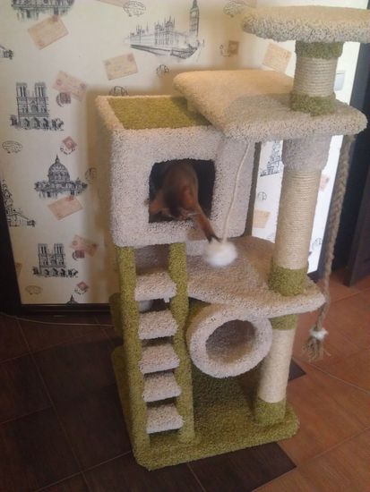 Домик для кота Д-4