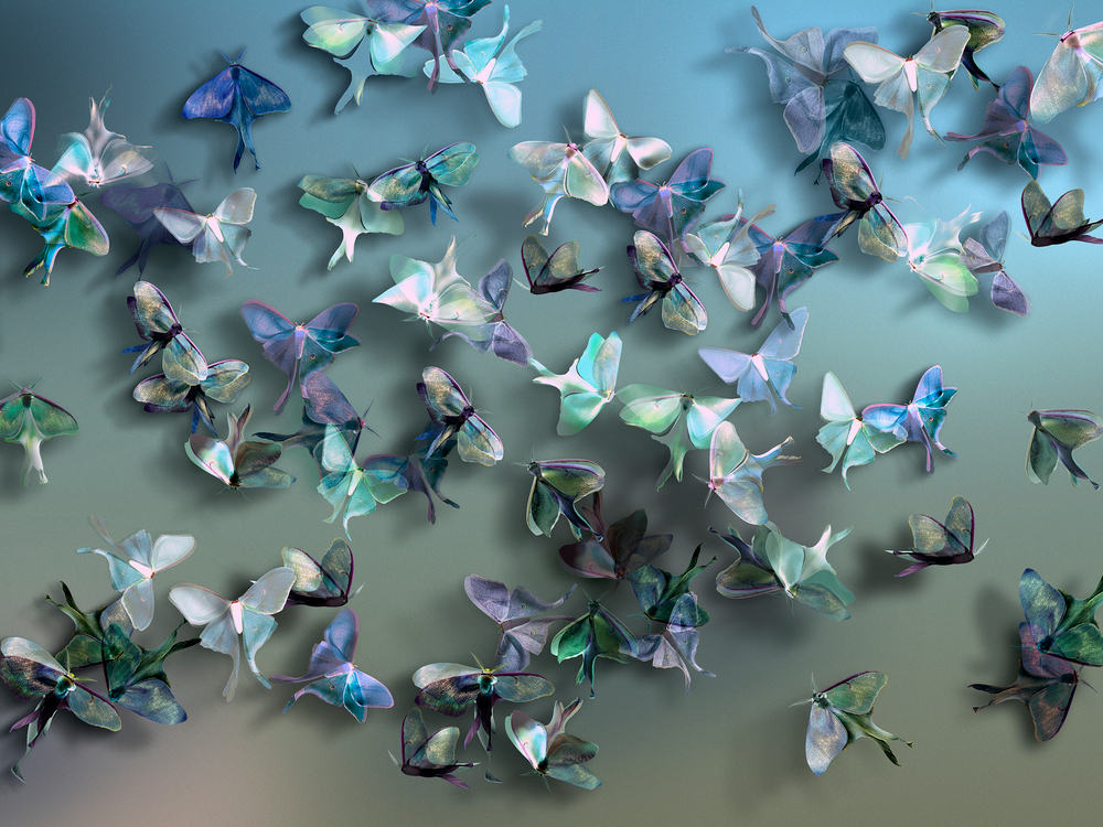 Коллекция FARFALLE