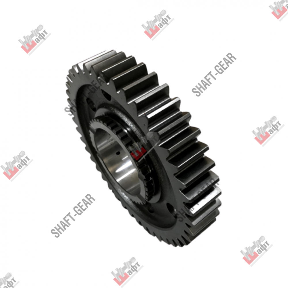 J70-1701110 - Шестерня 1 передачи вторичного вала на КПП