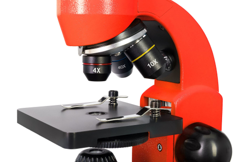 Микроскоп Levenhuk Rainbow 50L Апельсин c Levenhuk K50