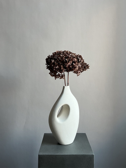 Гортензия стабилизированная коричневая