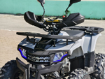 Lion 125 AA серый