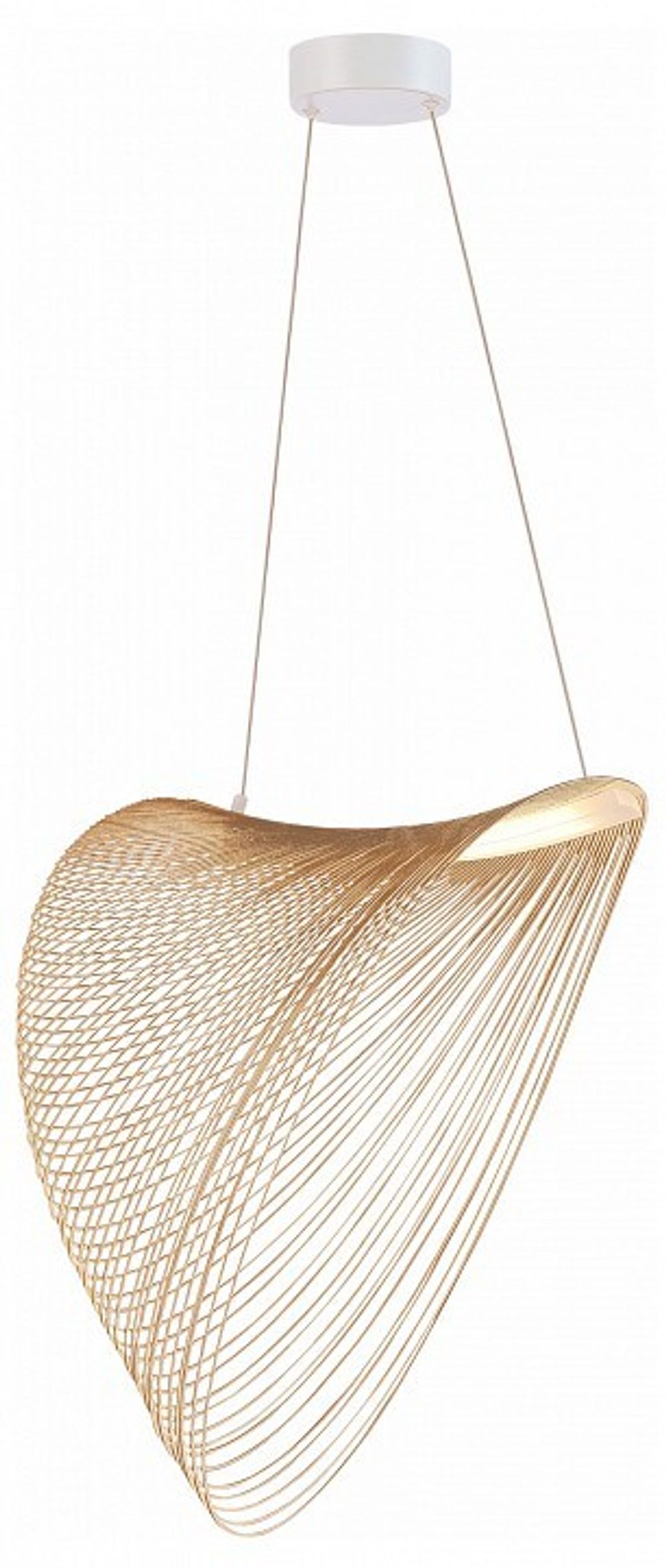 Подвесной светильник ST-Luce Fossil SL6900.503.24