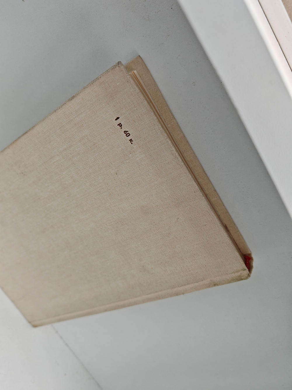 Пушкин в Михайловском