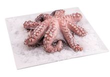 Осьминог свежемороженый очищенный~1.7кг