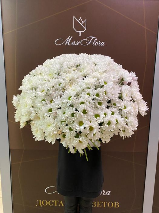 Букет белая хризантема (Б-135)