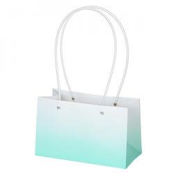 Пакет ПРЯМОУГОЛ 22*10,5*13,5см ГРАДИЕНТ