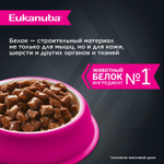 Eukanuba паучи для взрослых собак с говядиной 100 г