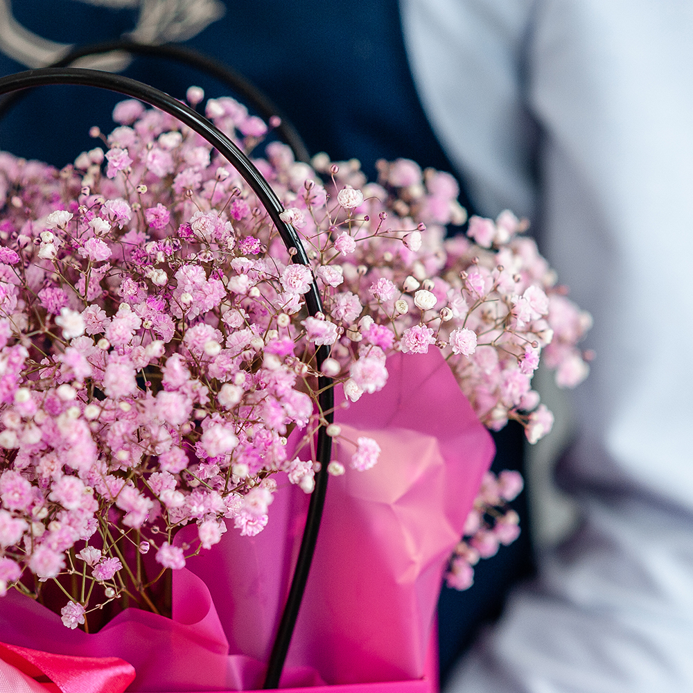 Сумочка розовой гипсофилы