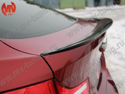 Спойлер BMW X6 E71 (2008-2014)