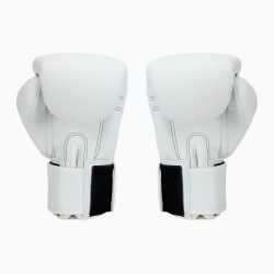 Боксёрские перчатки Twins Special BGVS3 white