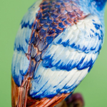 Фарфоровая мануфактура Capodimonte. «Пара попугаев на ветке»