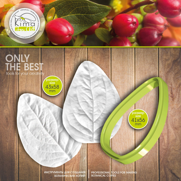 Гиперикум лист маленький