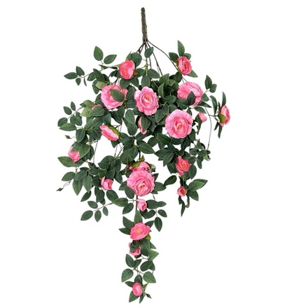 Роза ампельная ярко-розовая