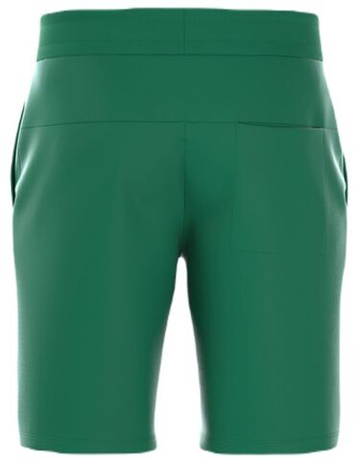 Мужские теннисные шорты Björn Borg Essential Shorts - verdant green