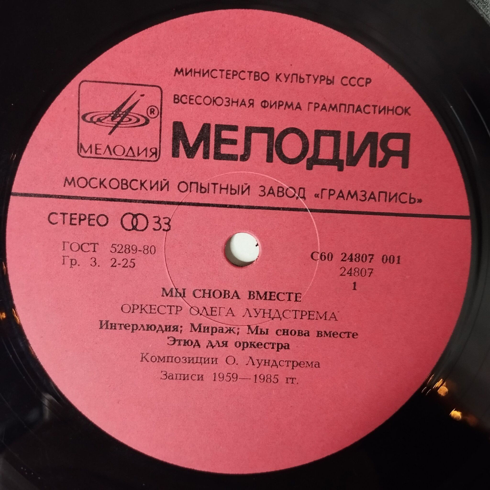Винтажная виниловая пластинка LP Олег Лундстрем Мы Снова Вместе (СССР 1986) В Горах Грузии