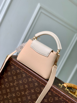 Louis Vuitton Capucines Mini