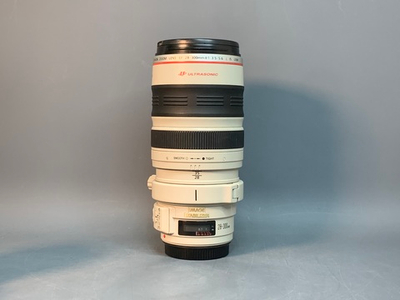 Canon EF 28-300mm f/3.5-5.6L IS USM