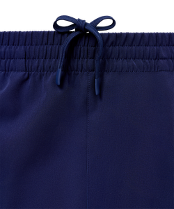 Брюки парадные INSANE RBF, синий