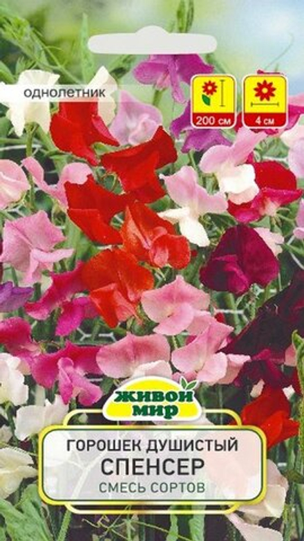 Гopoшeк дyшиcтый "ЖМ. Спeнcep" 2г., Германия.