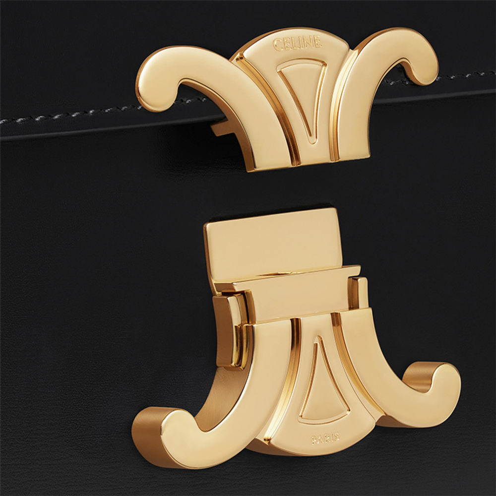 Сумка CELINE Triomphe, 188423BF4-38NO