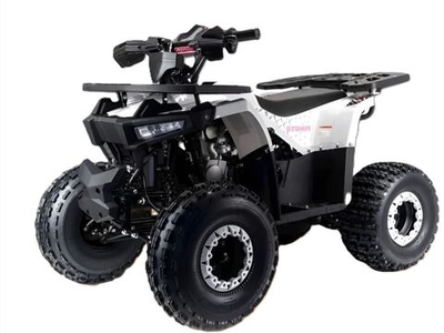 Квадроцикл MOTOLAND Storm A 125