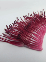 Тычинки мака