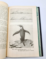 "Двукратные изыскания в Южном Ледовитом океане и плавание вокруг света в продолжение 1819, 20 и 21 годов, совершенные на шлюпах "Востоке" и "Мирном" под начальством капитана Беллинсгаузена командира шлюпа "Восток". Ф.Ф. Беллинсгаузен. 1949г.