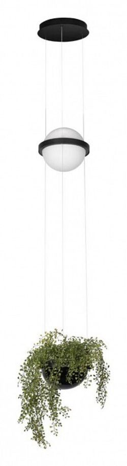 Подвесной светильник Loft it Jardin 10121/B