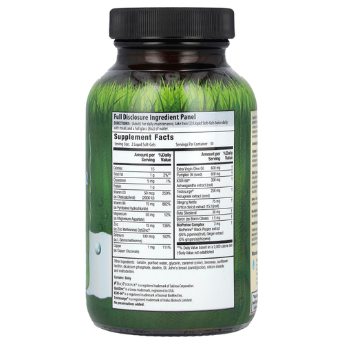 Irwin Naturals, Next Level, Testosterone UP v2, 60 желатиновых капсул