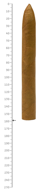 Vintage 2009 Torpedo