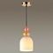 Подвесной светильник Lumion Suspentioni Gillian 4589/1B